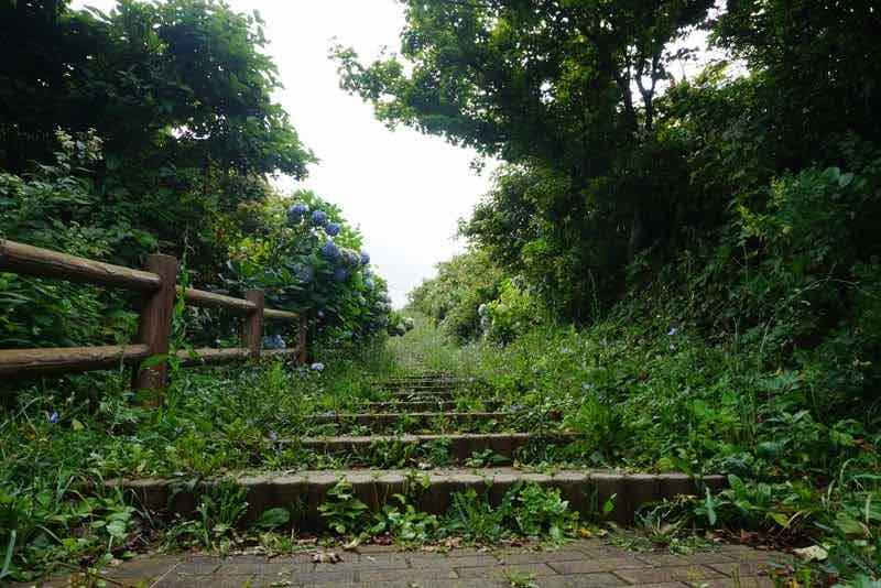 階段村道